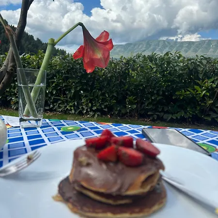 בית הארחה Edis 3*